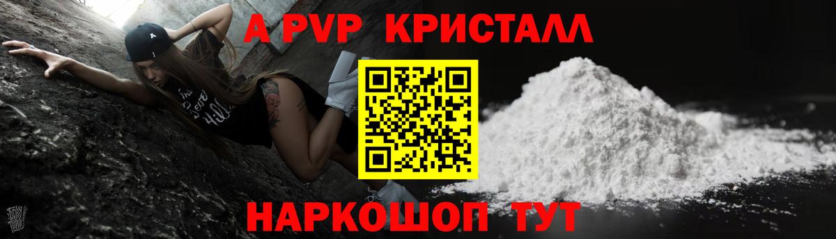 Альфа ПВП СК Курчалой