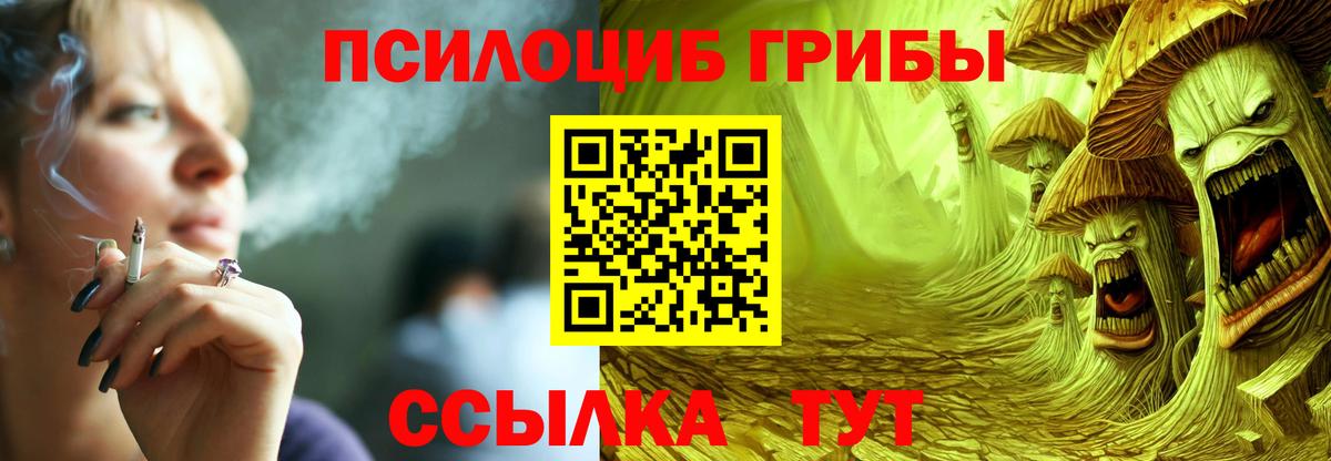 Псилоцибиновые грибы Psilocybine cubensis  Вход с VPN  Псилоцибиновые грибы Psilocybe  Курчалой 
